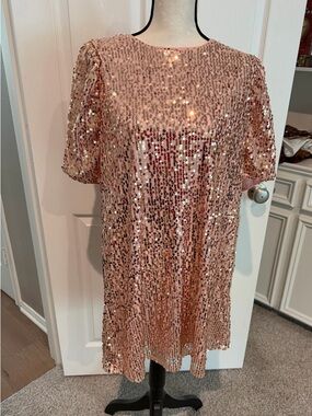 Blush Pink Rose Gold Sequin Shift Dress